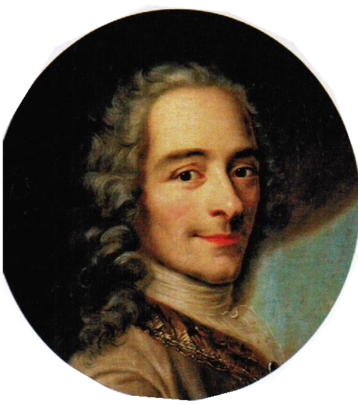 Voltaire La Vie Et Le Combat Dun Philosophe Des Lumières 7874